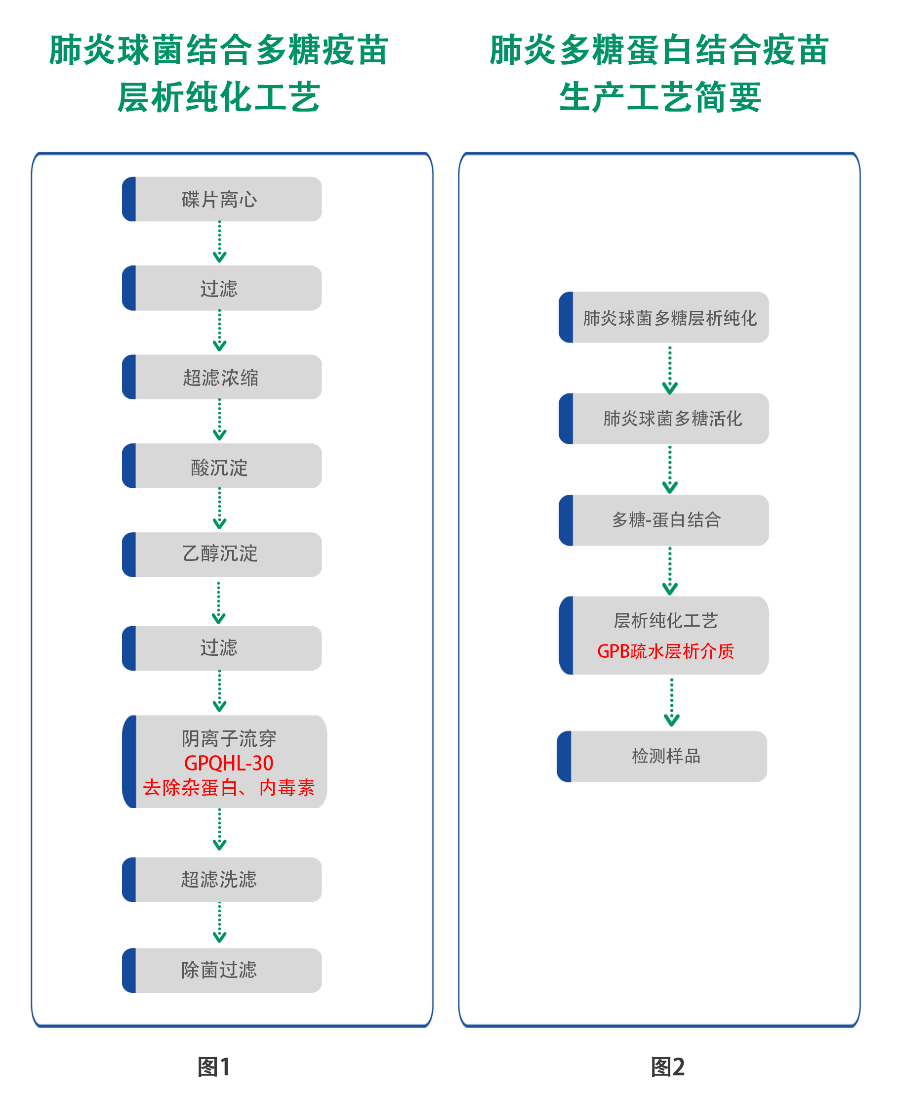 大孔层析介质助力肺炎多糖和多糖蛋白结合疫苗的纯化