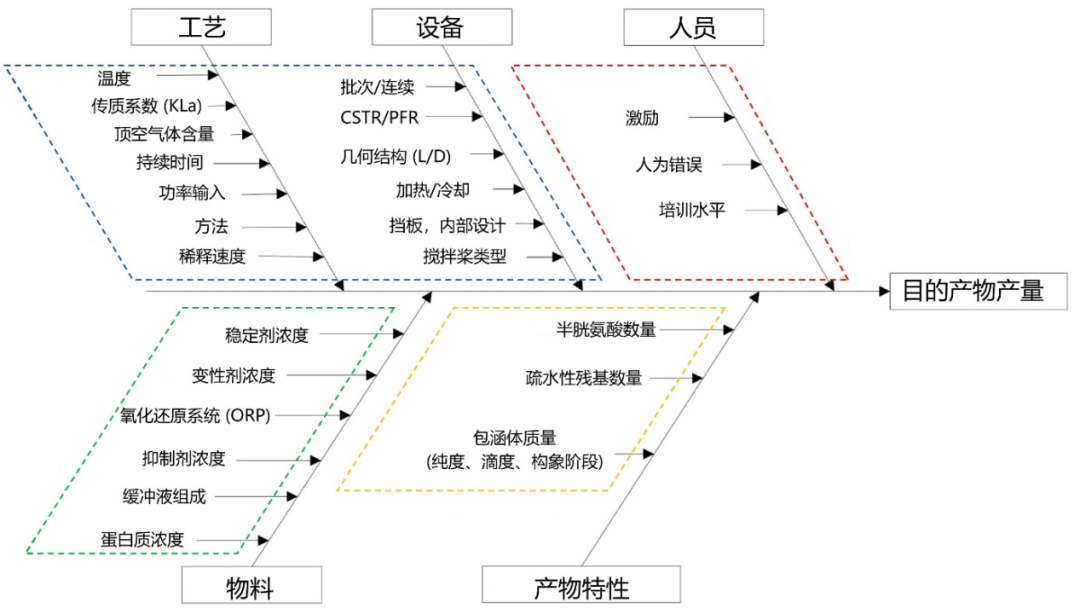 工业规模包涵体复性工艺的开发