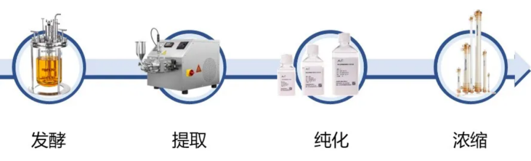 工业规模包涵体复性工艺的开发