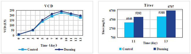 CHO Serum-free Cell Culture Medium