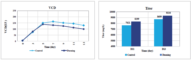 CHO Serum-free Cell Culture Medium