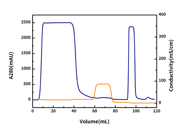 Antibody Purification Resin