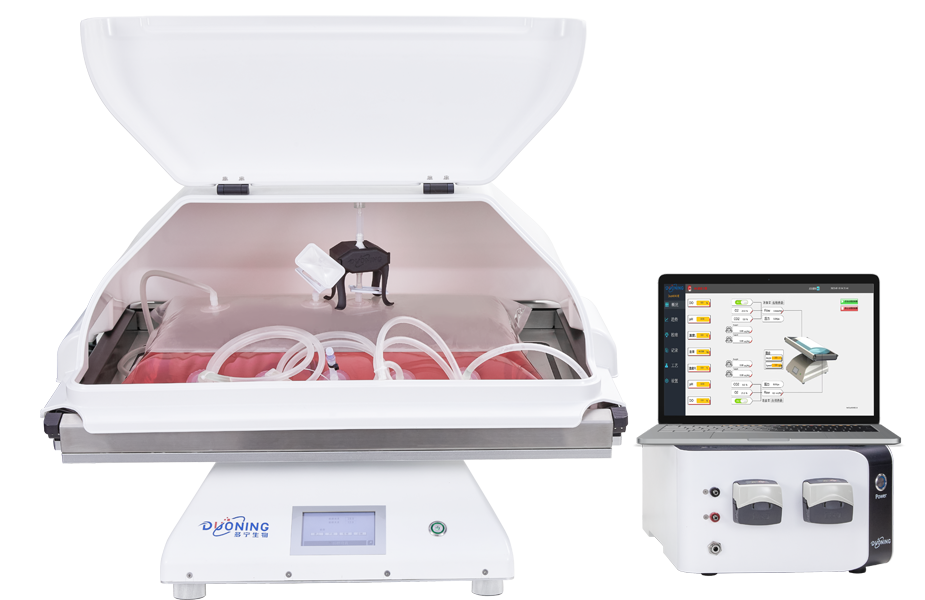 DuoWave® Rocking Single-use Bioreactor