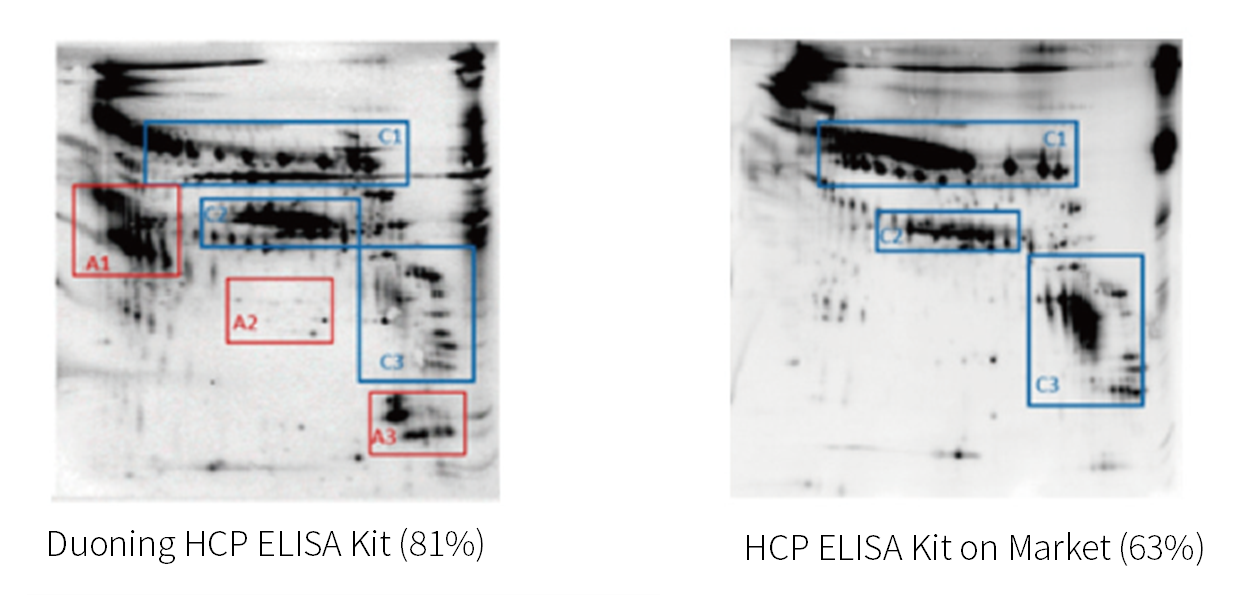 CHO Host Cell Protein ELISA Kit