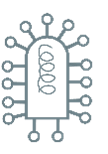 Oncolytic Virus