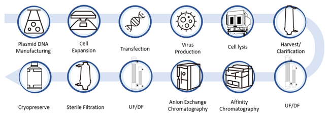 Adeno-Associated Virus