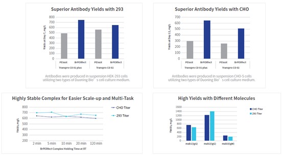 BrPERfect® for Protein DNA Transfection Reagent