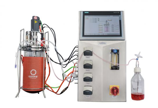 BA Series Glass Bioreactor