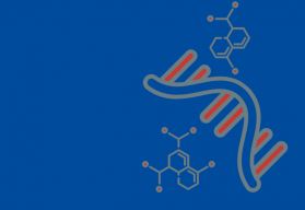 Solutions for mRNA in vitro Synthesis