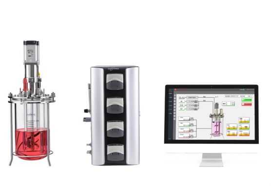 The “Magic Code” of Bioreactor Dissolved Oxygen (DO) Control