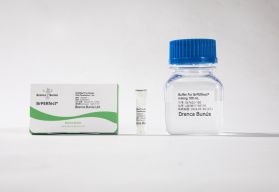 BrPERfect® for Protein DNA Transfection Reagent